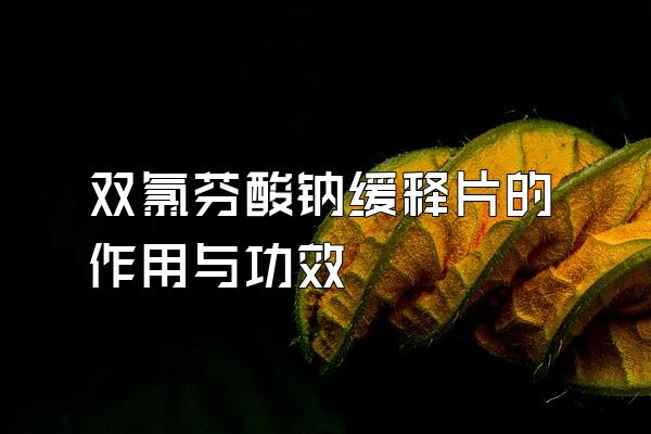 ˫ȷƻƬ빦Ч