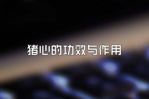 猪心的功效与作用
