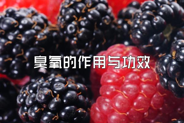 빦Ч