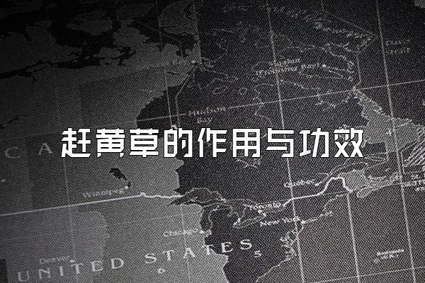 赶黄草的作用与功效
