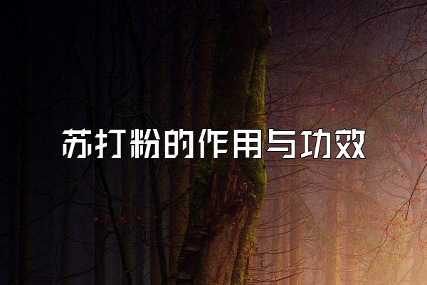 մ۵빦Ч