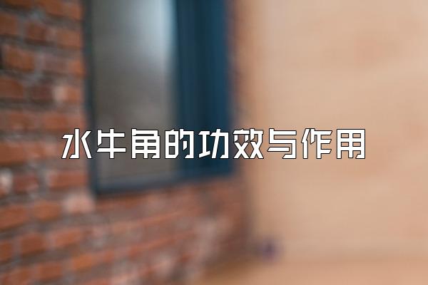 水牛角的功效与作用