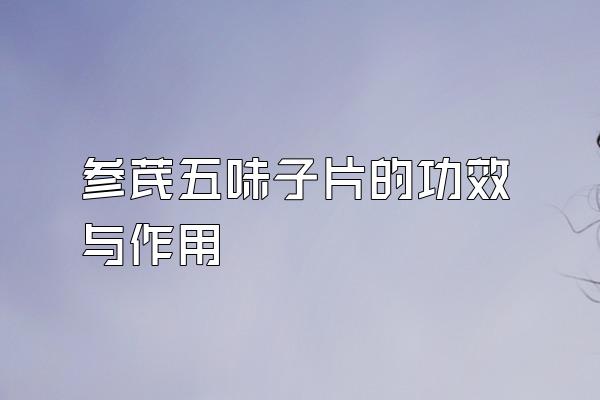 参芪五味子片的功效与作用