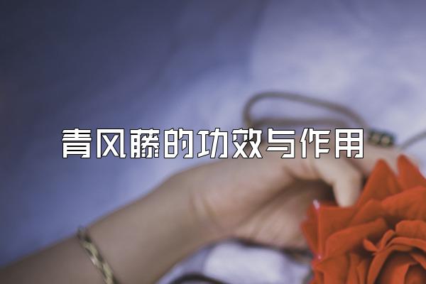 青风藤的功效与作用