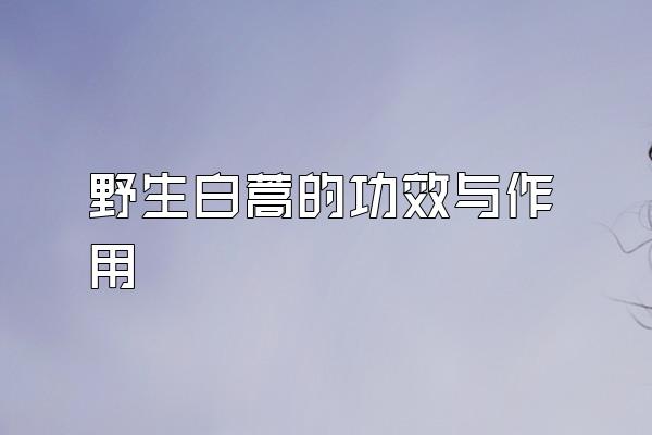 ҰĹЧ