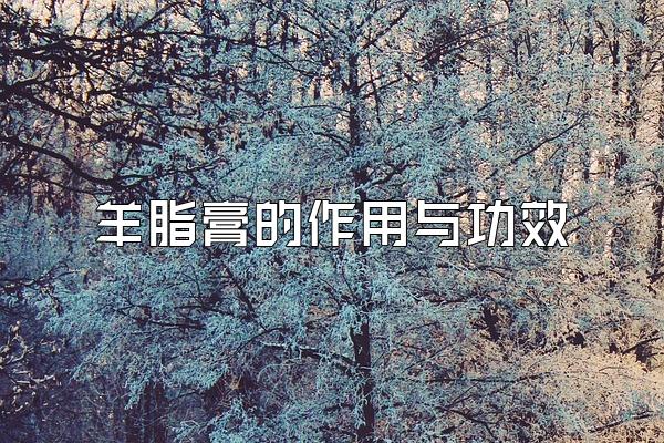 羊脂膏的作用与功效