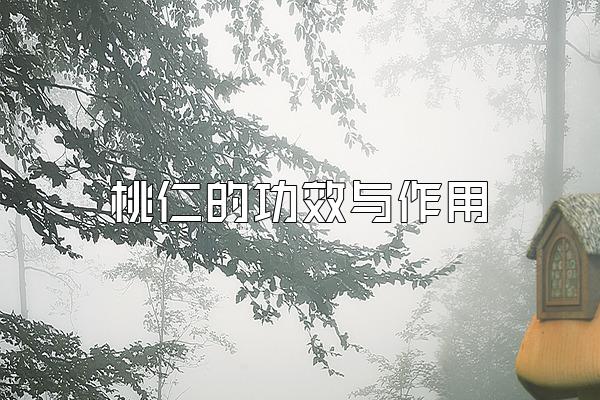 燀桃仁的功效与作用