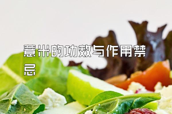 薏米的功效与作用禁忌