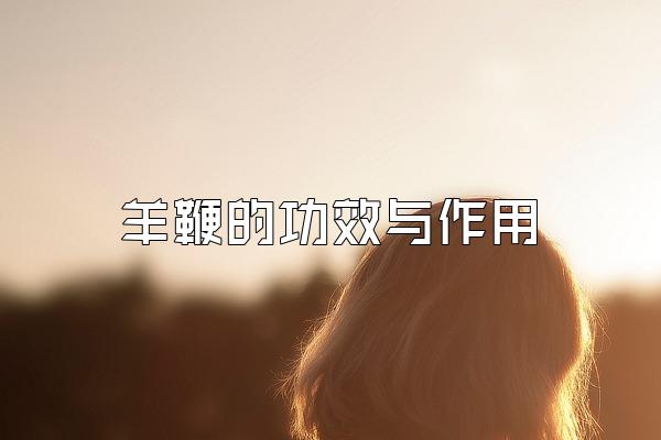 ޵ĹЧ