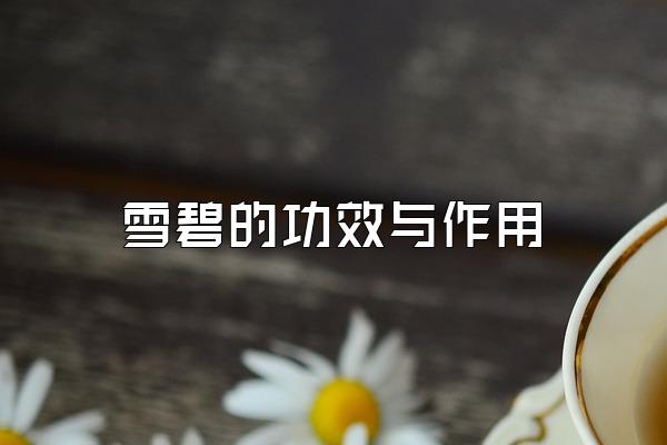 ѩ̵ĹЧ
