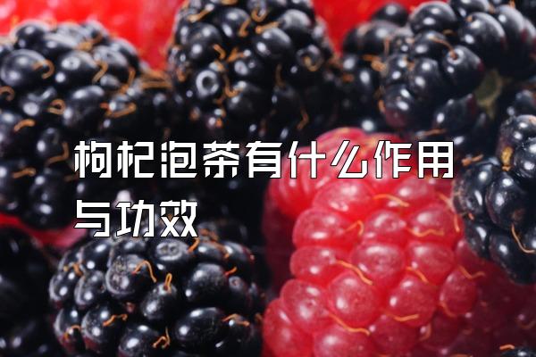 枸杞泡茶有什么作用与功效