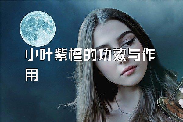 СҶ̴ĹЧ