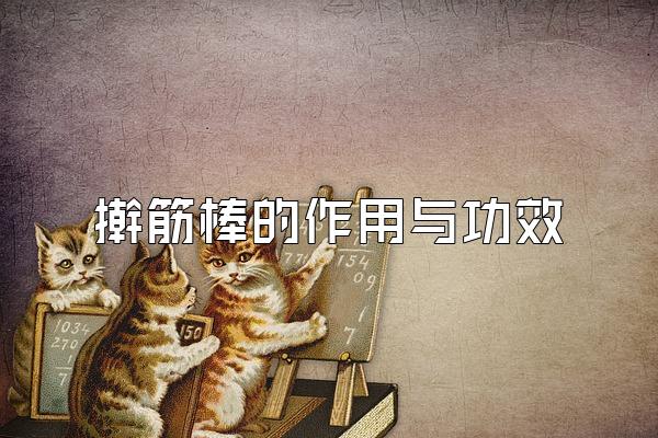 ߦ빦Ч