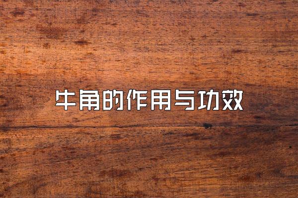 ţǵ빦Ч