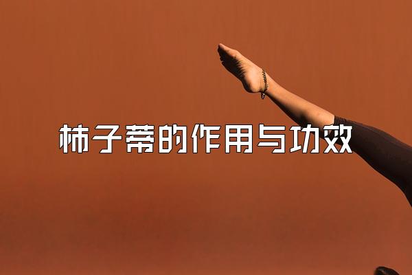 ӵٵ빦Ч
