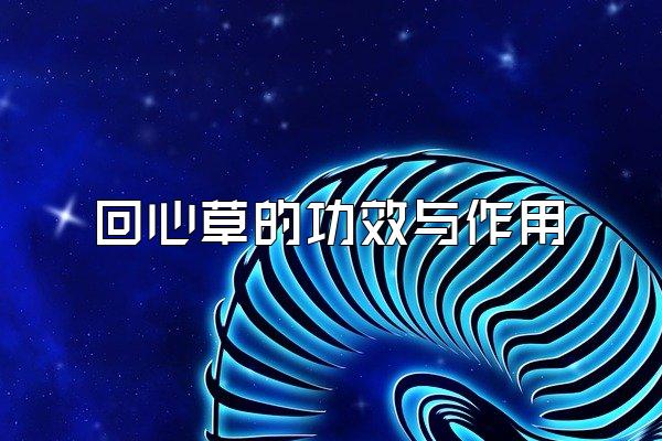 回心草的功效与作用