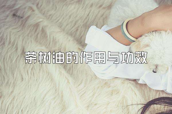 ͵빦Ч