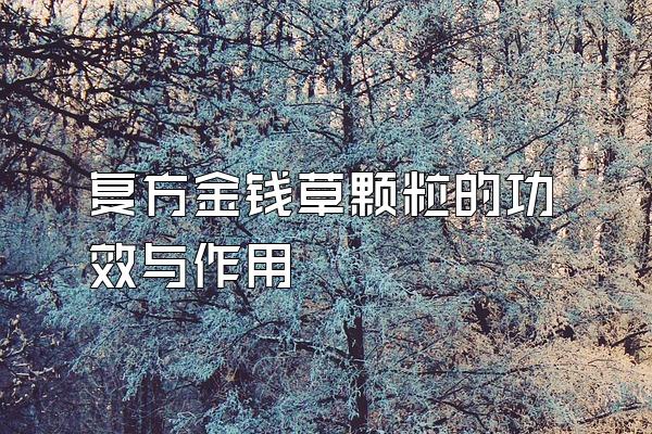 ǮݿĹЧ