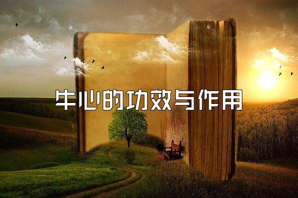 ţĵĹЧ