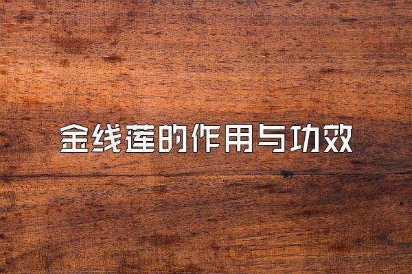 빦Ч