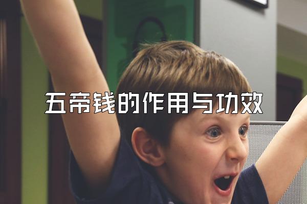 Ǯ빦Ч