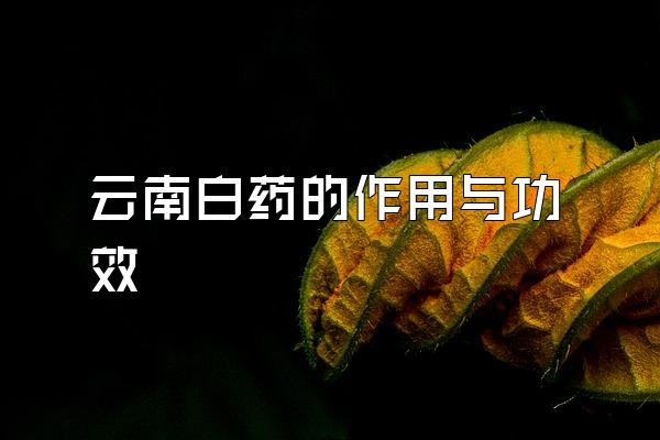 ϰҩ빦Ч