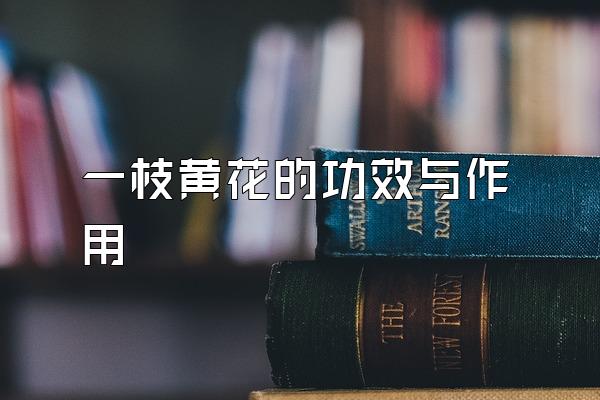 һ֦ƻĹЧ