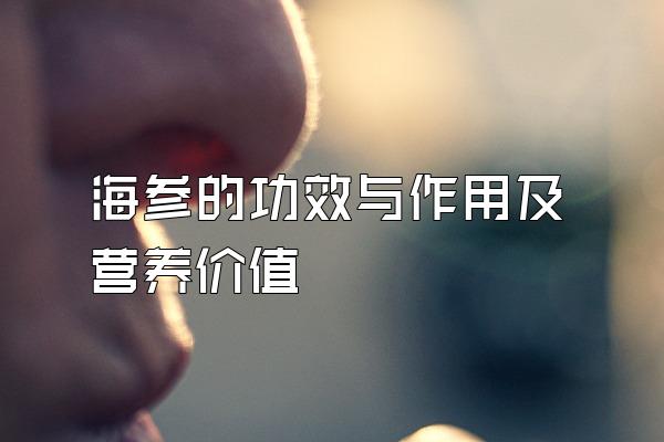 海参的功效与作用及营养价值