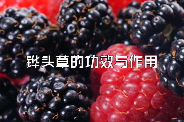 ͷݵĹЧ