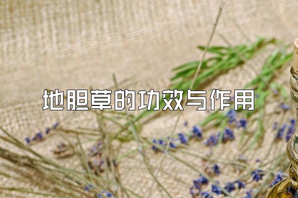 صݵĹЧ