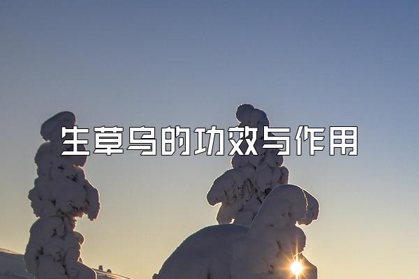 ڵĹЧ