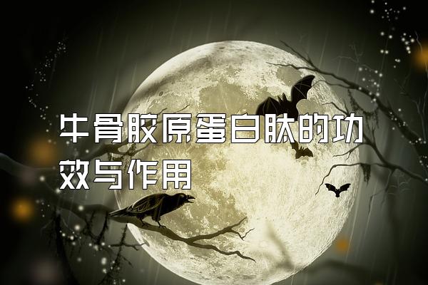 ţǽԭĵĹЧ