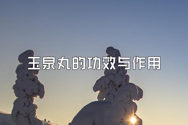 玉泉丸的功效与作用