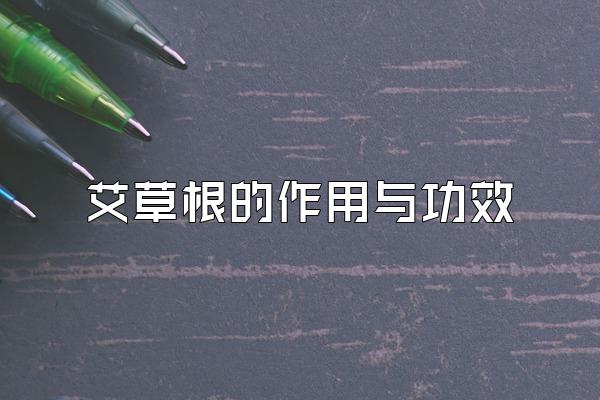 ݸ빦Ч