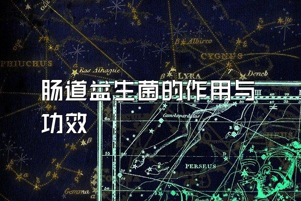 빦Ч