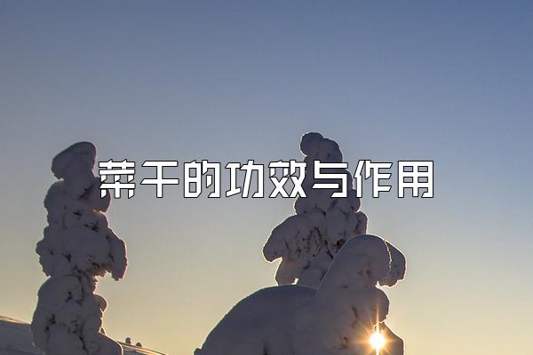 ˸ɵĹЧ