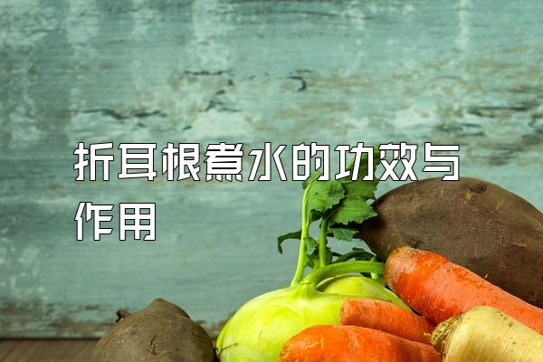 折耳根煮水的功效与作用