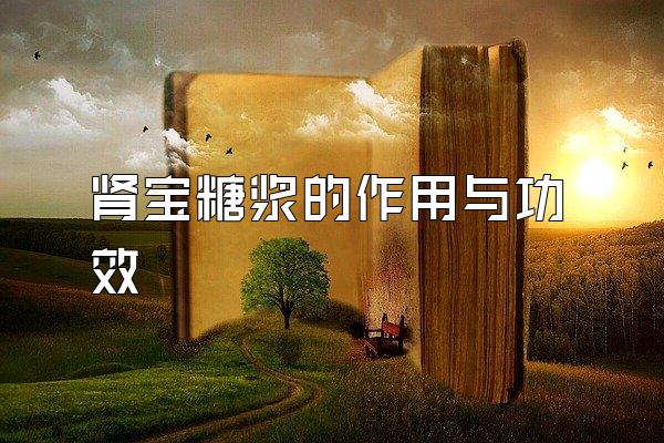ǽ빦Ч