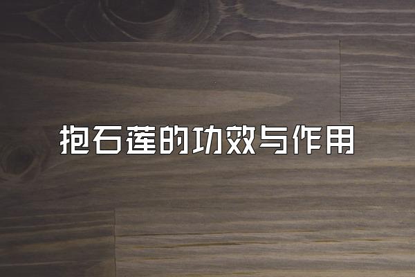 ʯĹЧ