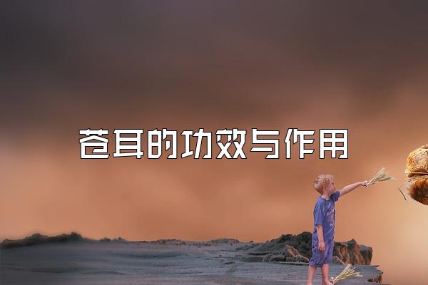 苍耳的功效与作用