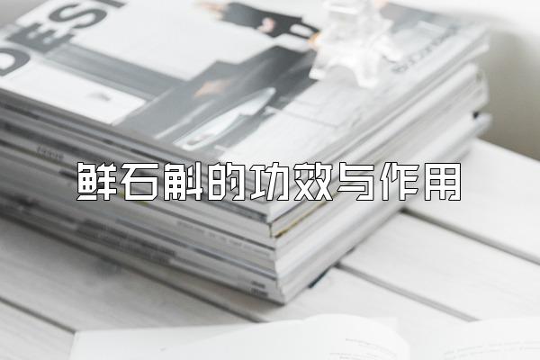 ʯĹЧ