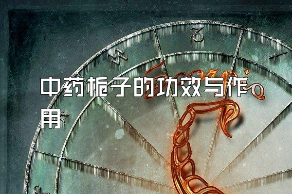 ҩӵĹЧ