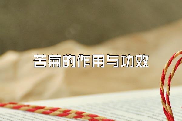 յ빦Ч