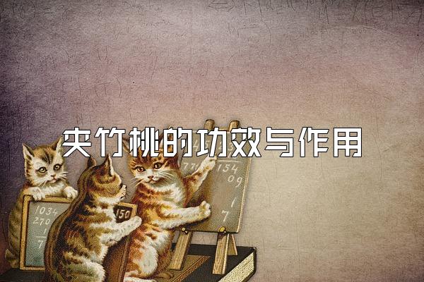 ҵĹЧ