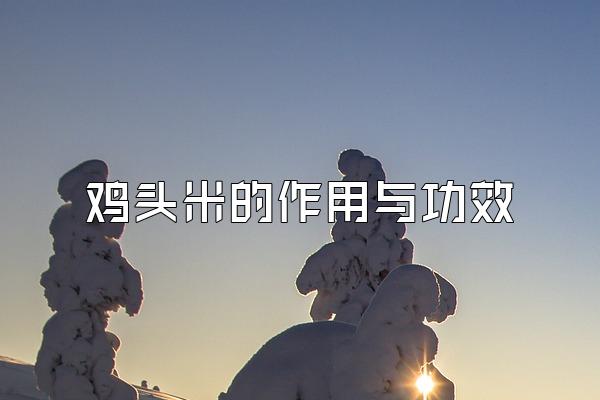 ͷ׵빦Ч