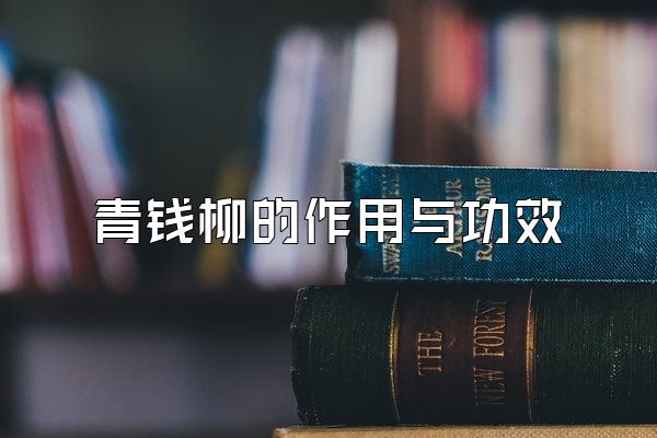 Ǯ빦Ч