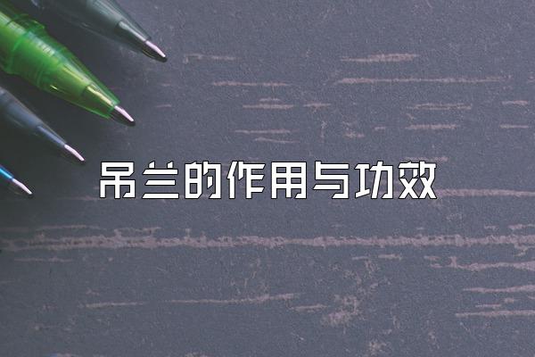 吊兰的作用与功效