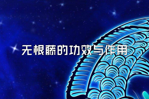 ޸ٵĹЧ
