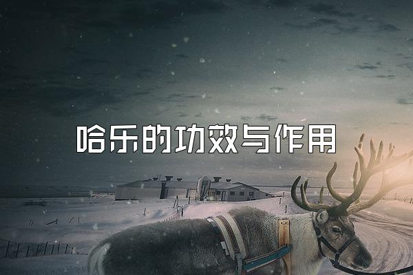ֵĹЧ