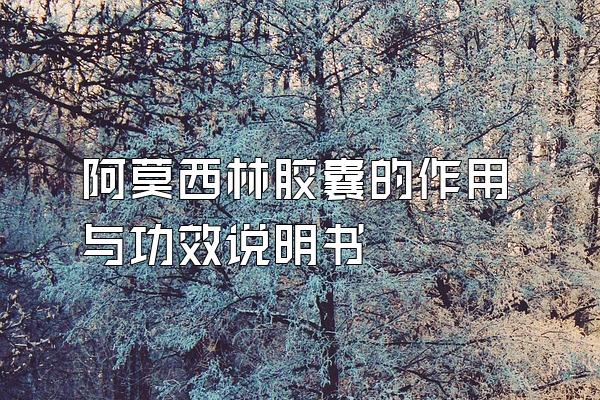 Īֽҵ빦Ч˵